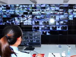 What are the functions of the security monitoring system?